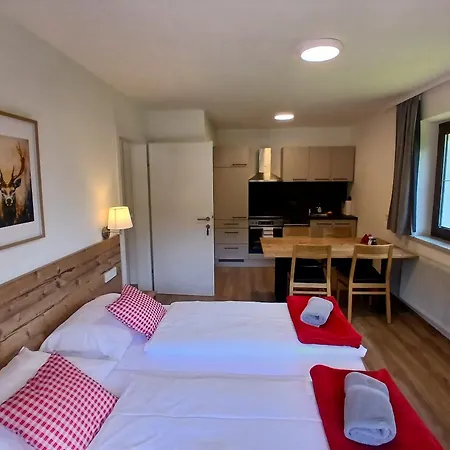 Haus Huber Und 招待所 米特西尔